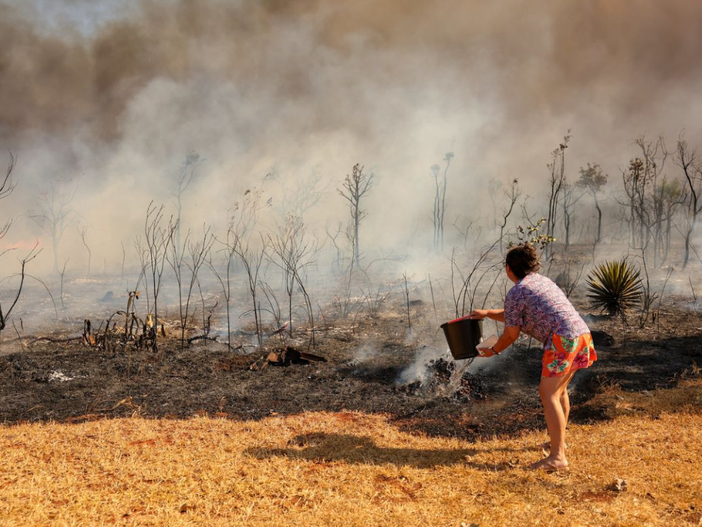O QUE É DIREITO AMBIENTAL E POR QUE ELE AFETA A VIDA DE TODOS OS BRASILEIROS
